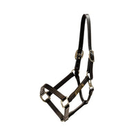 Leather halter Wellington black cob
