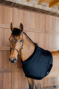 Kentucky Horsewear Chest protection