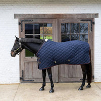 Stable rug wave 160g 125-5'9