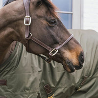 Turnout rug all weather waterproof pro 125-5'9