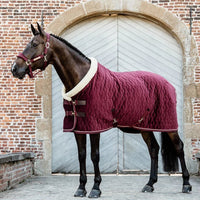 Show Rug Velvet 125-5'9