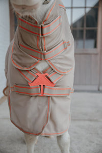 Kentucky Horsewear Mesh fly rug comfort