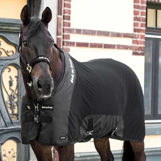 Back on Track® Horse Mesh Rug, Royal Deluxe