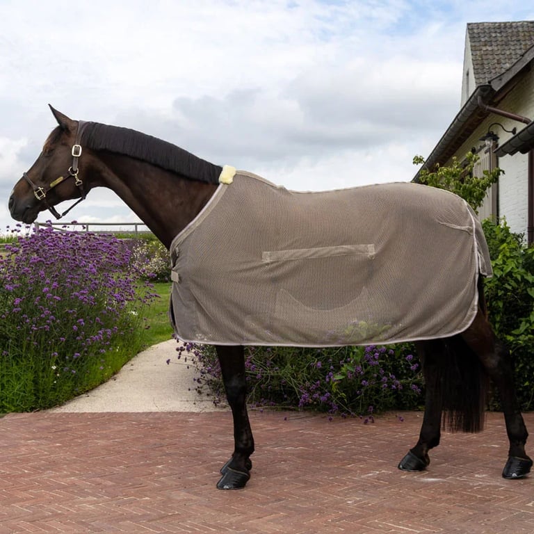 Kentucky Horsewear Fly rug with belly cover comfort