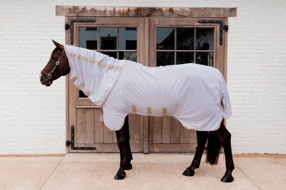 Kentucky Horsewear Mesh fly rug comfort