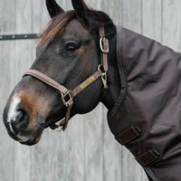 Neck all weather waterproof pro 0 gram large