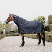 Magnetic Rug Recuptex 125-5'9
