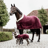 Fleece show rug 'heavy' 125-5'9