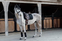 Kentucky Horsewear Fly Veil Wellington Big Stone Pearl