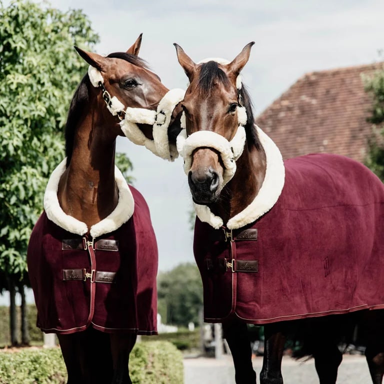 Kentucky Horsewear Fleece show rug 'heavy'