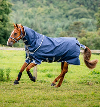 Amigo 1200D Plus Turnout 0g