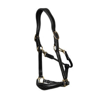 Leather anatomic halter black Cob