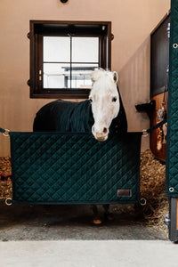 Kentucky Horsewear Stable Guard
