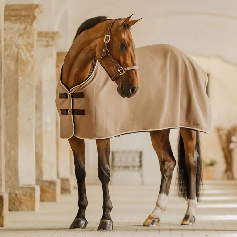 Kentucky Horsewear Fleece rug Show vegan wool