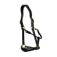 Leather anatomic halter black Cob