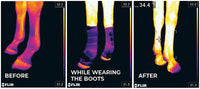Magnetic Stable boots Recuptex