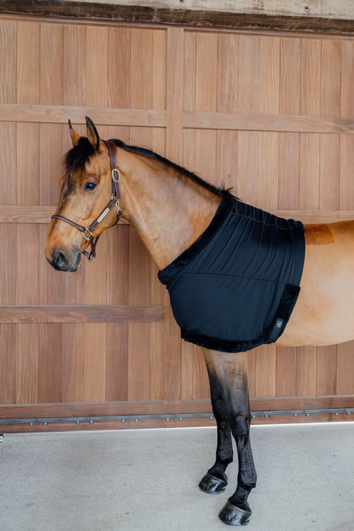 Kentucky Horsewear Chest protection