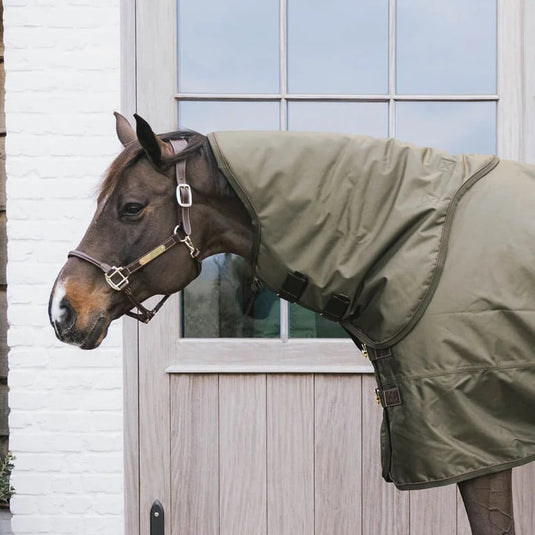 Neck all weather waterproof pro 0 gram large