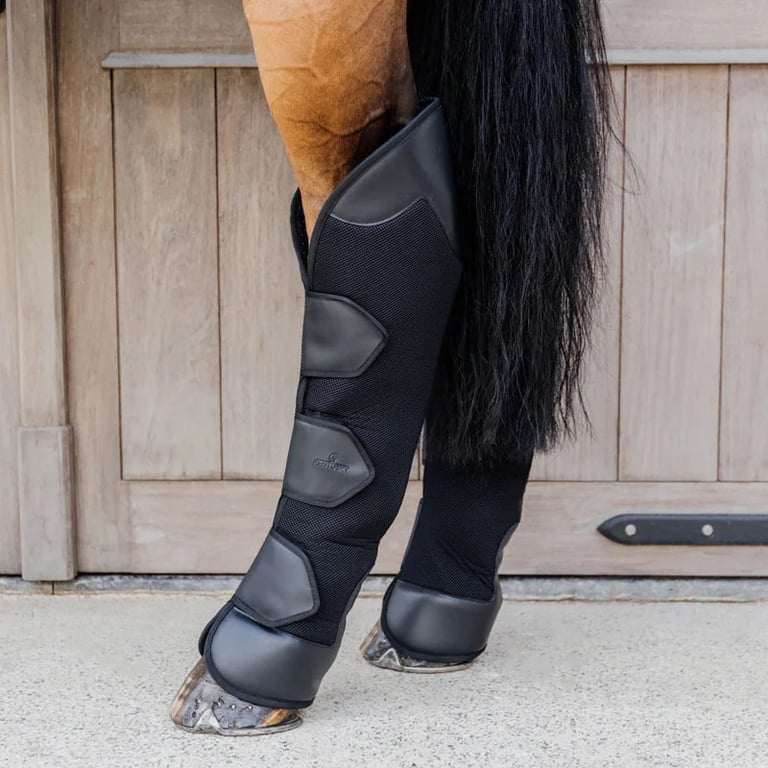 Kentucky Horsewear Travel Boots