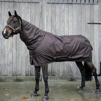 Turnout rug all weather waterproof pro 125-5'9