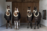 Kentucky Horsewear Show Rug Velvet 160g