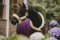 Kentucky Horsewear Show Rug Velvet 160g