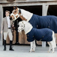 Show rug 125-5'9