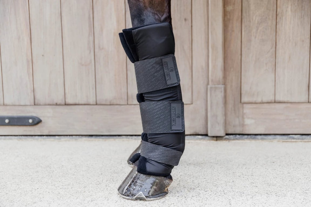 Kentucky Horsewear Stable boots PROtect long front