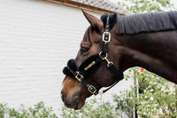 Kentucky Horsewear Nylon Sheepskin Headcollar