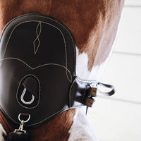 Short stud girth brown 55cm