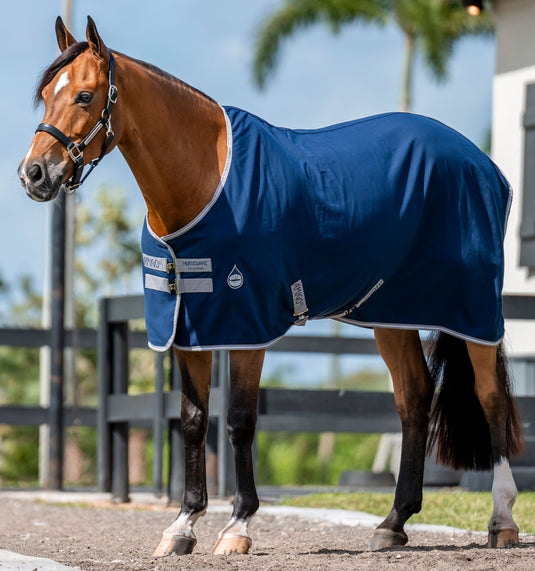 Amigo Stable Sheet