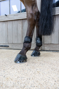 Kentucky Horsewear Young Horse Fetlock Boots