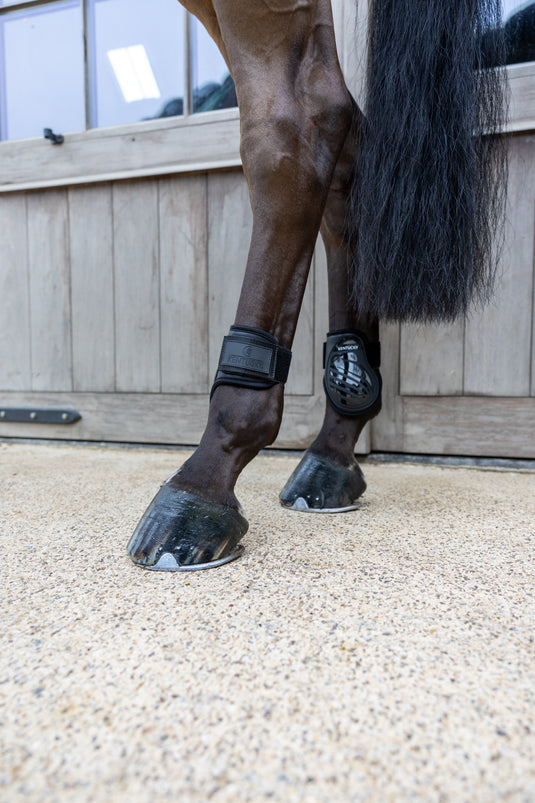 Kentucky Horsewear Young Horse Fetlock Boots