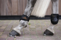 Kentucky Horsewear Young Horse Fetlock Boots